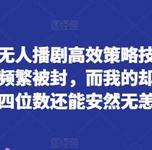 快手无人播剧高效运营技巧 规避封号风险实现稳定盈利方法-雨叶虚拟资源网