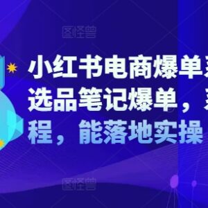 2024小红书电商爆单系统课 涵盖选品运营开店全流程实操-雨叶虚拟资源网