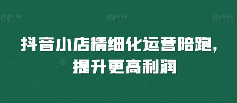 抖音小店精细化运营实操教程 全链路操作指导提升店铺利润