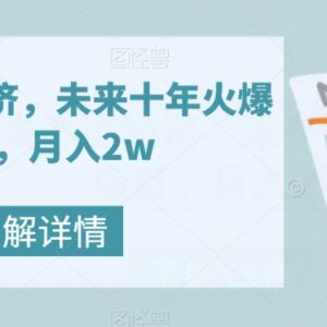 银发养老经济热门实操项目 普通人可落地的月入2万玩法揭秘-雨叶虚拟资源网