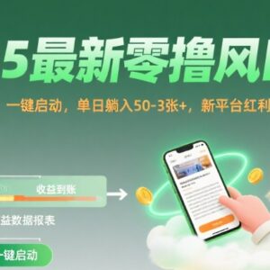 2025零撸挂机阅读项目操作指南 新平台红利期收益规则详解-雨叶虚拟资源网