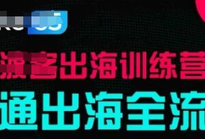 出海训练营基础课分享 跑通出海全流程含实战案例及配套资料-雨叶虚拟资源网