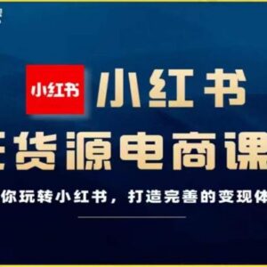 小红书无货源电商运营全教程 从零搭建完整变现体系学习指南-雨叶虚拟资源网