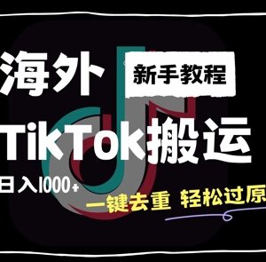 2024最新海外TikTok搬运玩法 新手无经验一键去重过原创获收益-雨叶虚拟资源网