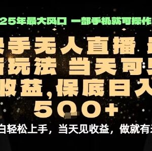 2025最新快手无人直播玩法 手机操作当天即可获得收益-雨叶虚拟资源网