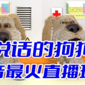 抖音会说话的狗狗本弹幕互动无人直播玩法 附开播搭建全教程-雨叶虚拟资源网