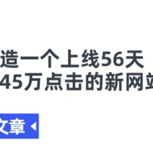 如何打造上线56天获45万点击新站 出海建站运营案例参考-雨叶虚拟资源网