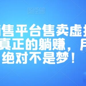 虚拟产品全自动销售平台操作教程 新手做副业可长期稳定盈利-雨叶虚拟资源网