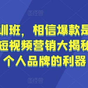 短视频流量内训教程：可复制爆款打造与个人IP塑造实操方法-雨叶虚拟资源网