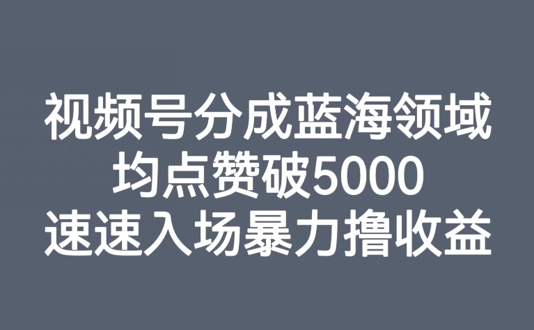 视频号分成计划蓝海赛道玩法 低竞争高赞适合个人副业及工作室