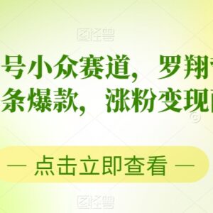 中视频小众书单号玩法:罗翔哲学语录混剪 涨粉变现两不误-雨叶虚拟资源网