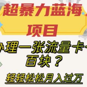 正规三网流量卡推广副业怎么做 高佣金低门槛教程详解-雨叶虚拟资源网