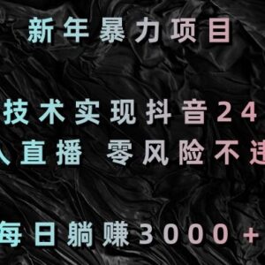 2024新年抖音24小时无人直播实操教程 零风险合规运营玩法-雨叶虚拟资源网