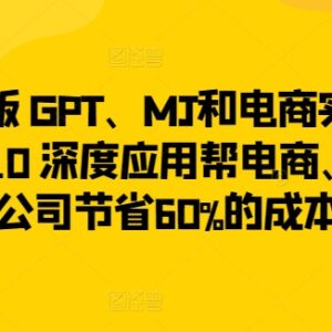 GPT与MJ电商深度实战应用课 助力电商及内容公司降本提效-雨叶虚拟资源网