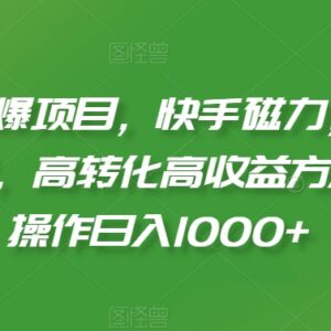 2024快手磁力聚星撸金项目详解 低门槛批量操作变现实操指南-雨叶虚拟资源网