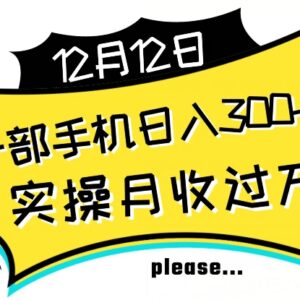 适合新手的稳定变现实操项目 单号日入500+可批量放大操作-雨叶虚拟资源网