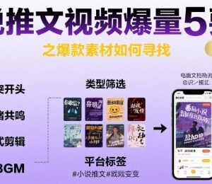 小说推文视频爆量核心技巧 爆款素材查找及制作实用教程-雨叶虚拟资源网