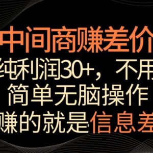 游戏发行人计划信息差玩法拆解 一单纯利30+操作简单易上手-雨叶虚拟资源网