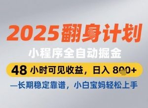 2025微信小程序全自动掘金项目解析 零基础可上手的稳定长期副业-雨叶虚拟资源网
