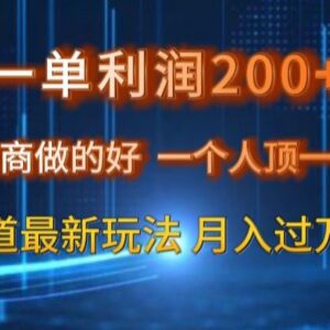 私域电商蓝海赛道实操最新玩法 单人运营单单利润可达200元-雨叶虚拟资源网