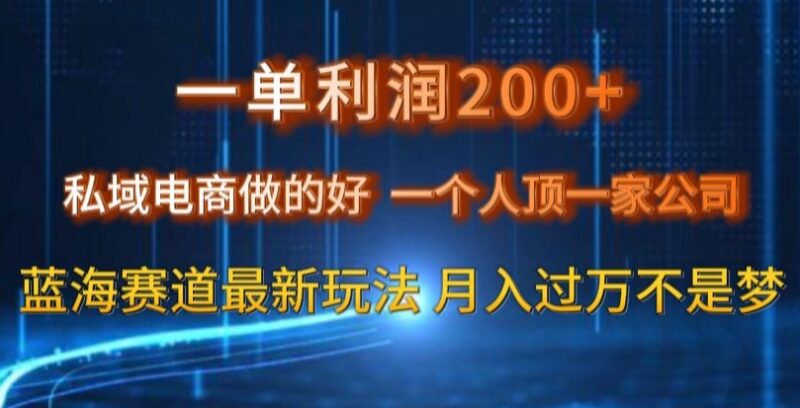 私域电商蓝海赛道实操最新玩法 单人运营单单利润可达200元