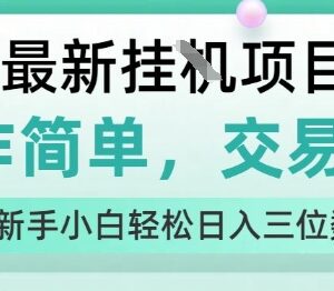无实名无广告挂机赚钱项目解析 新手零门槛可轻松日入百元-雨叶虚拟资源网