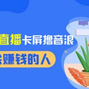 2024年12月新版无人直播卡屏撸音浪教程 稳定收益玩法详解-雨叶虚拟资源网