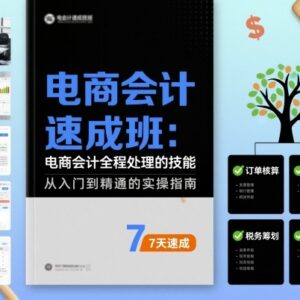 电商会计速成班详解 快速掌握多平台电商全流程财务处理技能-雨叶虚拟资源网