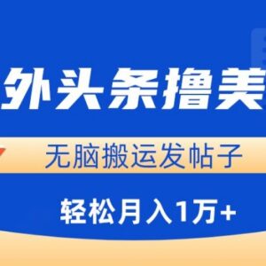 海外头条搬运发帖赚美金教程 零基础小白可操作月入过万-雨叶虚拟资源网