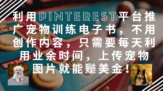 如何用Pinterest发宠物图推广训练电子书 零成本赚美金副业指南