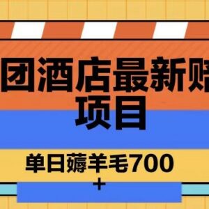 美团酒店最新赔付项目玩法揭秘 附操作教程与商家防范指南-雨叶虚拟资源网