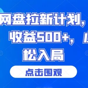 2024网盘拉新项目指南 小白每日1小时可获500+收益-雨叶虚拟资源网