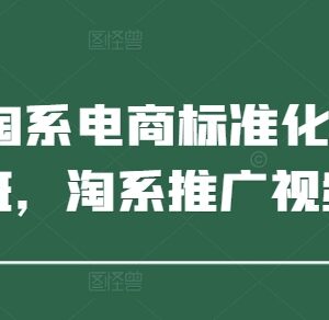 2025年淘系电商标准化起店教程 私教班推广运营实操课程-雨叶虚拟资源网