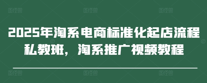 2025年淘系电商标准化起店教程 私教班推广运营实操课程