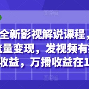 2025全新影视解说实操课程 多平台发作品有播放量即可获收益-雨叶虚拟资源网