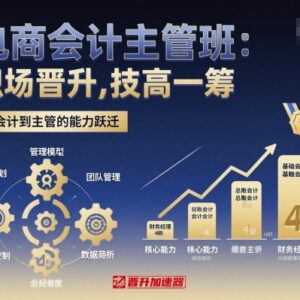 电商会计主管系统提升培训课程 掌握财税实操筹划助力职场晋升-雨叶虚拟资源网