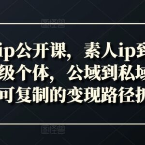 2024新个体IP公开课 素人到年入百万超级个体变现路径拆解-雨叶虚拟资源网