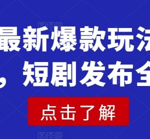 2025短剧最新爆款玩法实操教程 短剧发布全流程详解-雨叶虚拟资源网