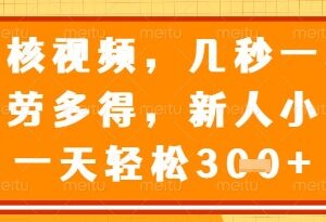 视频审核员正规兼职项目介绍 无时间地点限制多劳多得易上手-雨叶虚拟资源网