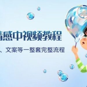 插画情感中视频制作全流程教程 附软件操作素材文案模板-雨叶虚拟资源网