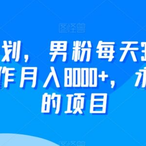 2024尤物计划男粉实操项目 每天30分钟可长期运营月入8000+-雨叶虚拟资源网