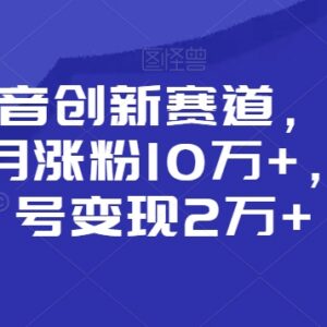 2024抖音小众创新赛道玩法 小白涨粉变现全流程教程-雨叶虚拟资源网