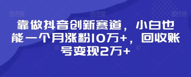 2024抖音小众创新赛道玩法 小白涨粉变现全流程教程