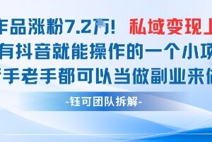 抖音私域AI引流实操：23条作品涨粉7.2W变现1W玩法解析-雨叶虚拟资源网