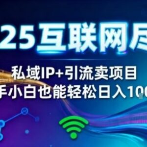 2025网创靠谱项目分享 私域IP+精准引流零经验新手也可操作-雨叶虚拟资源网