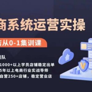 抖店从0到1系统运营实操课 抖音小店精细化运营全流程教程-雨叶虚拟资源网