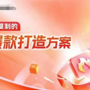 2024天猫电商可复制爆款打造方案 线下内训课附录音字幕-雨叶虚拟资源网