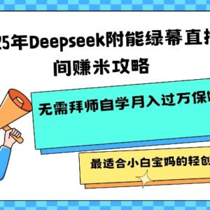 2025年Deepseek赋能绿幕直播间 小白宝妈轻创业保姆级攻略-雨叶虚拟资源网