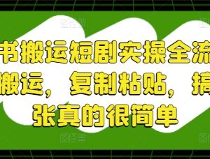 小红书搬运短剧实操全流程 新手零门槛上手赚钱操作指南-雨叶虚拟资源网