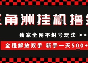 三角洲游戏全自动脚本撸金项目 新手操作及收益放大指南-雨叶虚拟资源网